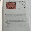 Аля, Кляксич и Буква А