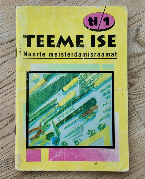 Teeme ise Noorte meisterdamisraamat