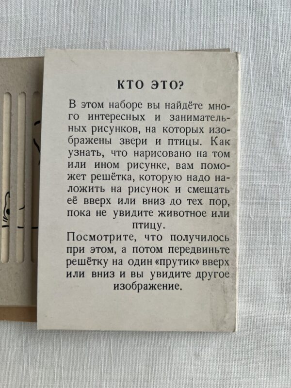 Игра - Кто это?
