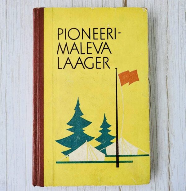 Pioneerimaleva laager