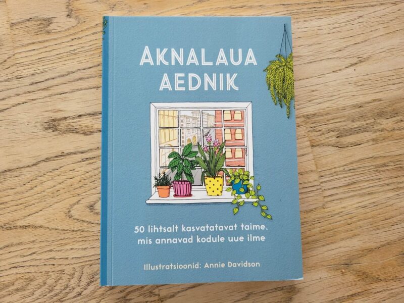 Aknalaua aednik . Liz Marvin