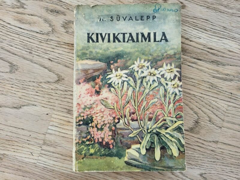 100727582 Kiviktaimla . Alli Süvalepp
