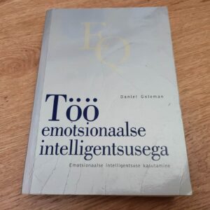 100921675 Töö emotsionaalse intelligentsusega