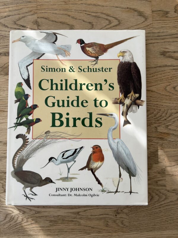 Children s Guide to Birds