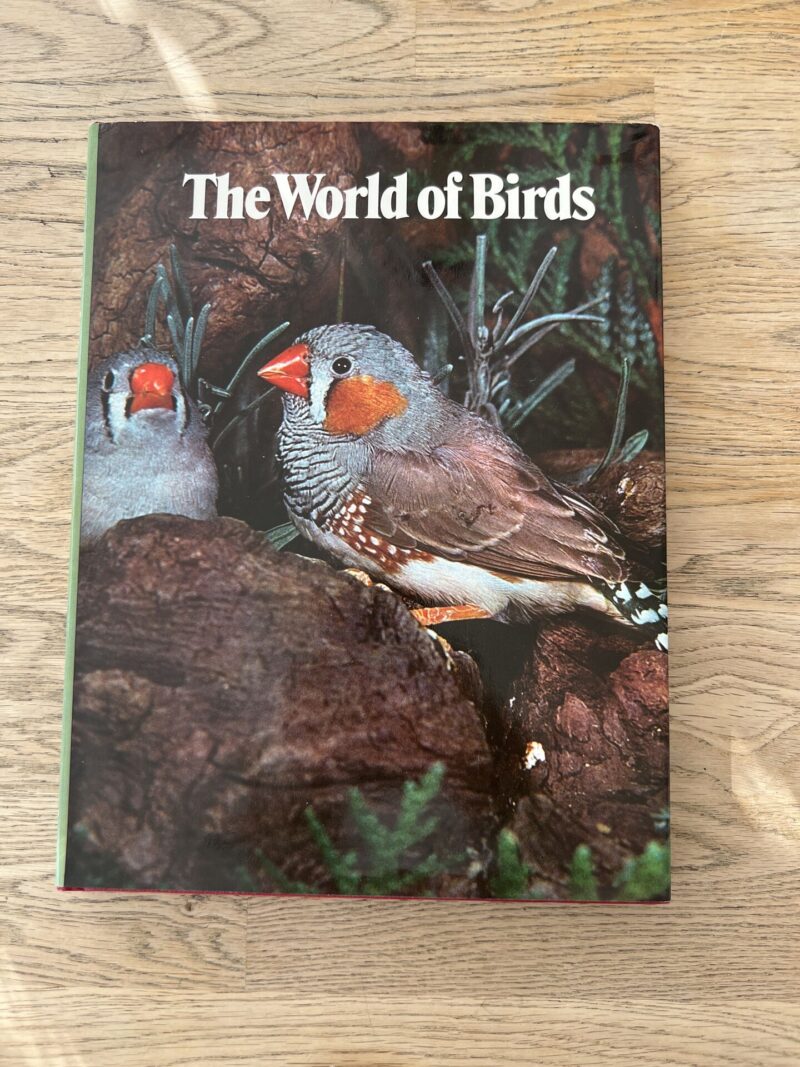The World of Birds