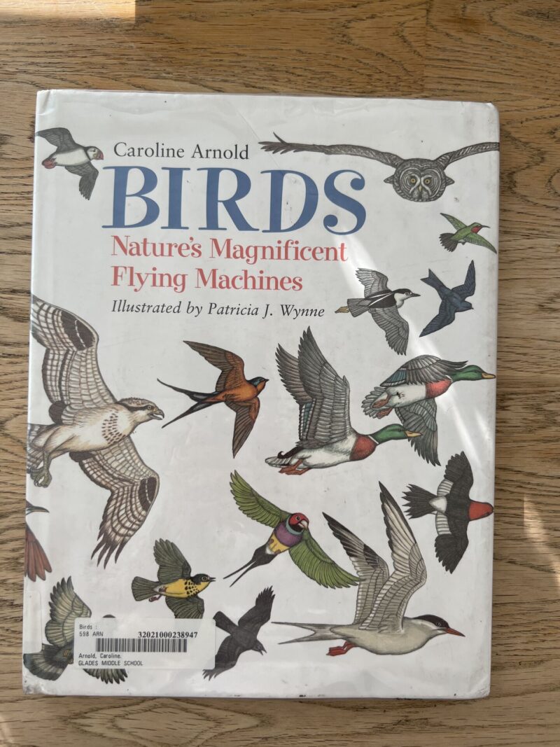 100948362 Birds Natures Magnificent Flying Machines