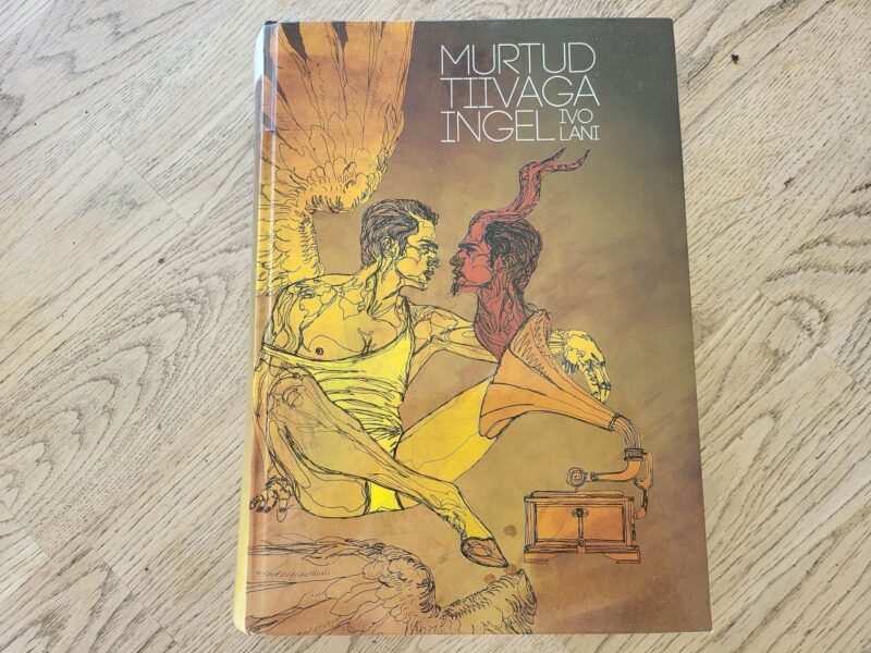 101062787 Murtud tiivaga ingel . Ivo Lani