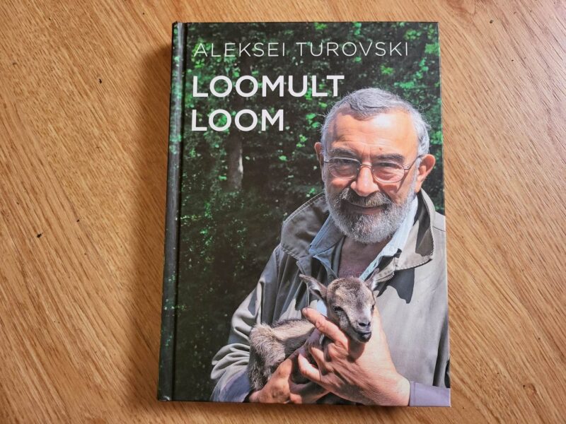101338651 Loomult loom . Aleksei Turovski