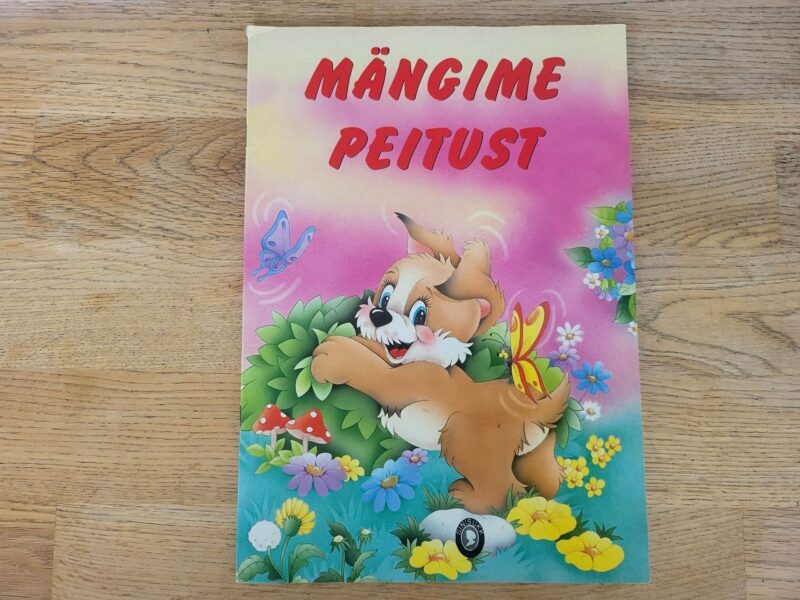 101558209 Mängime peitust