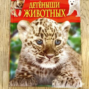 103251346 Детёныши животных