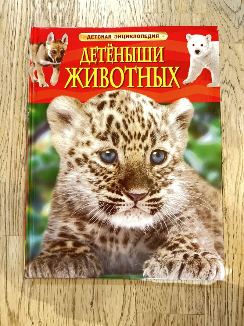 Детёныши животных