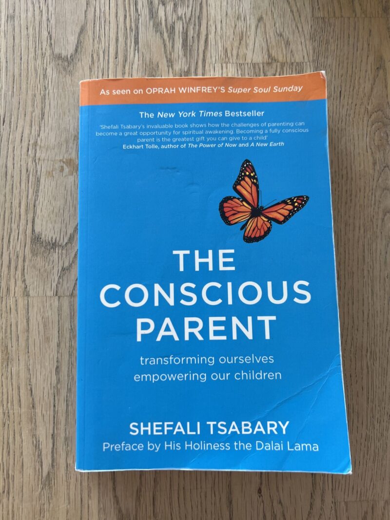 103447132 The Conscious parent