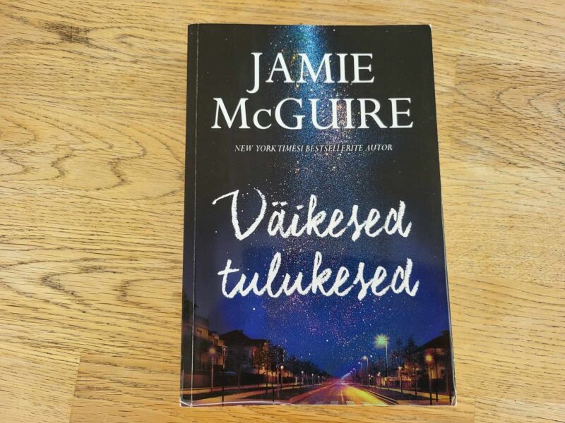 103874328 Väikesed tulukesed . Jamie McGuire