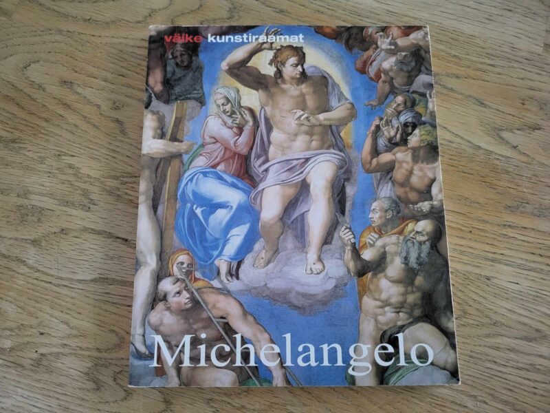 104288572 Michelangelo Buonarroti