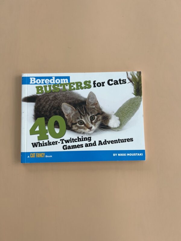 Boredom Busters for Cats