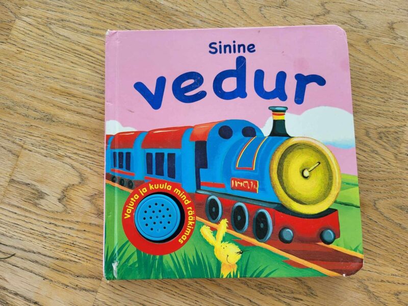 104797041 Sinine vedur