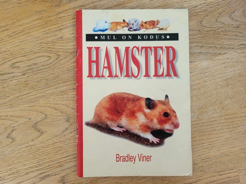 104895925 Mul on kodus hamster