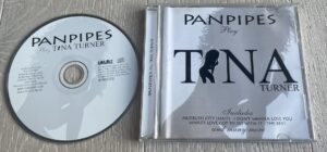 Panpipes Play Tina Turner