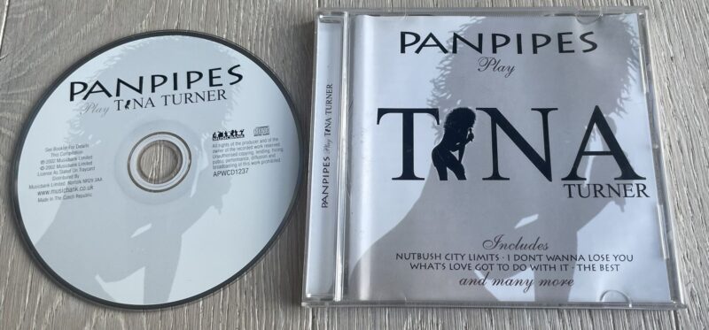 105443373 Panpipes Play Tina Turner