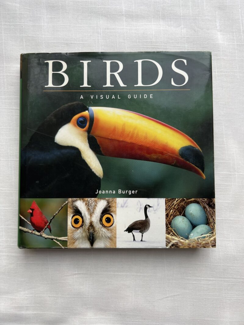 Birds a Visual Guide
