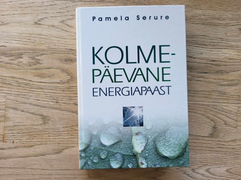 106493528 Kolmepäevane energiapaast . Pamela Serure