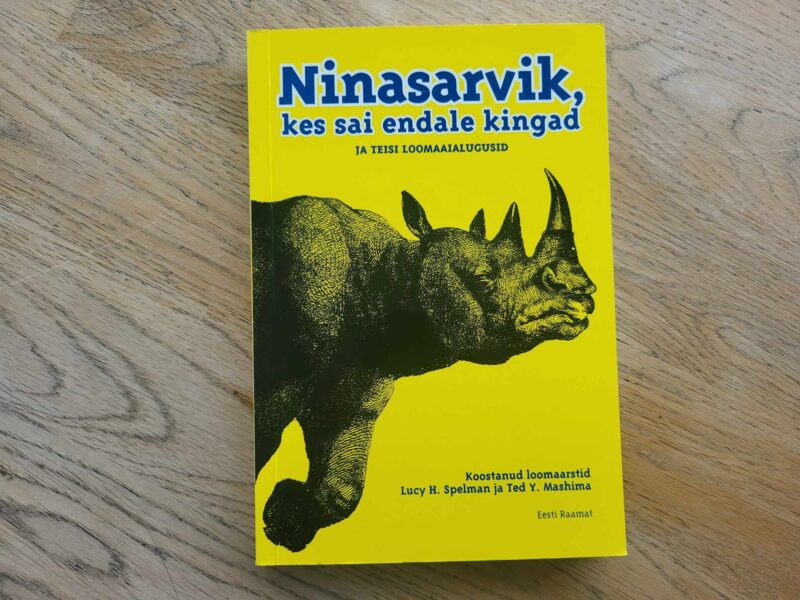 106717974 Ninasarvik kes sai endale kingad
