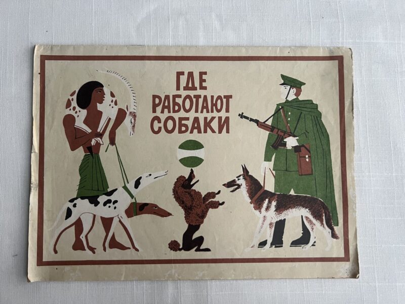 106724135 Где работают собаки