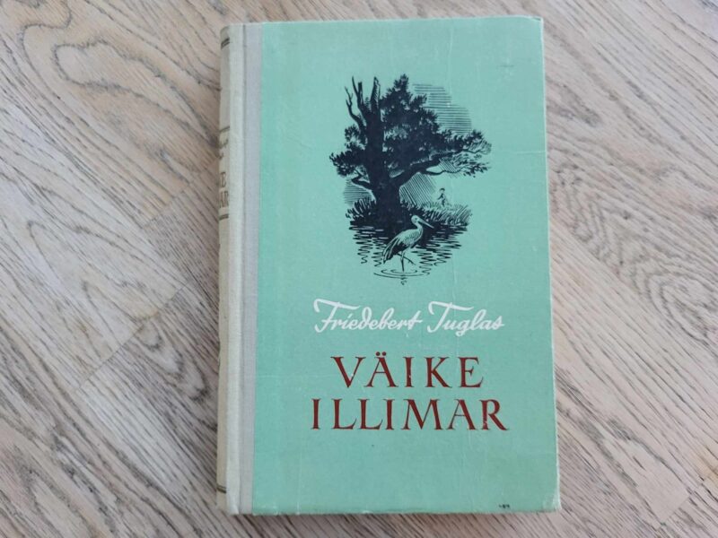 107151240 Väike Illimar . Friedebert Tuglas