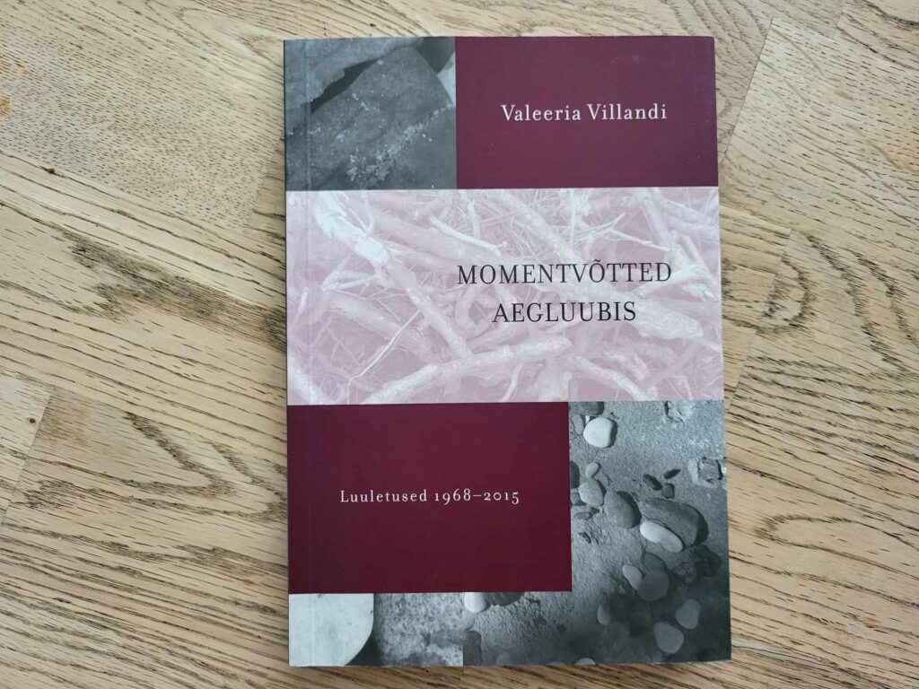 Momentvõtted aegluubis . Valeeria Villandi