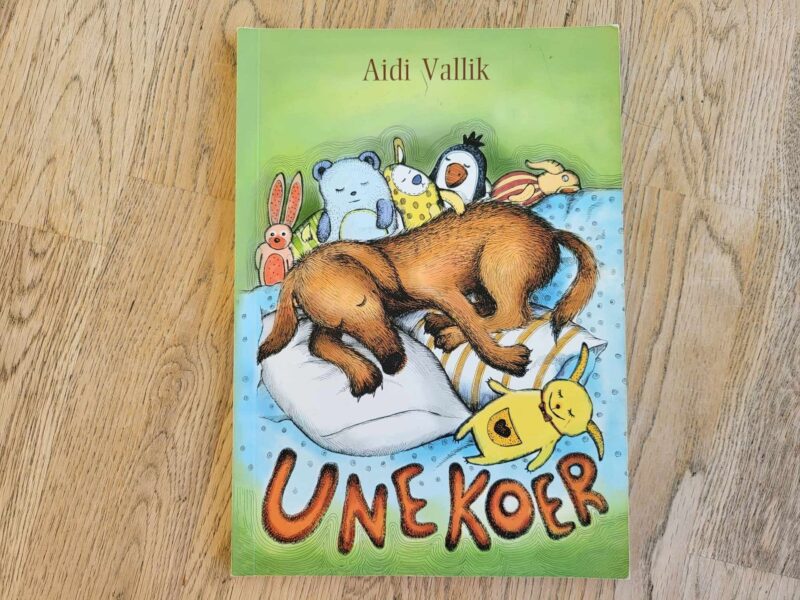 108105337 Unekoer . Aidi Vallik
