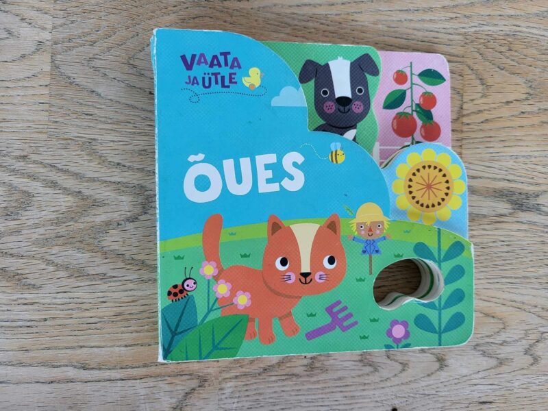108130430 Vaata ja ütle Õues