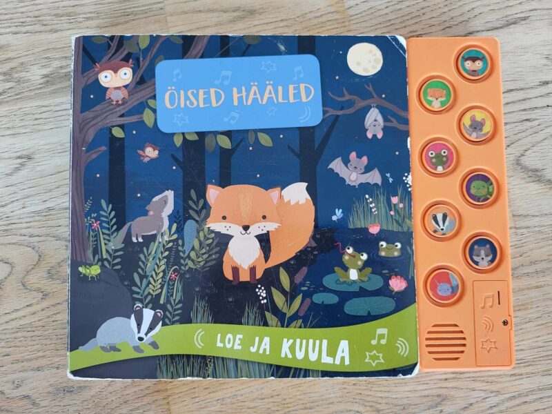 108131155 Öised hääled Loe ja kuula