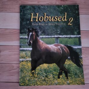 108412029 Hobused 2 . Karen Briggs