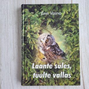 Laante süles tuulte vallas . Enn Vaino