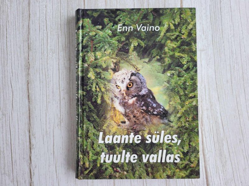 Laante süles tuulte vallas . Enn Vaino