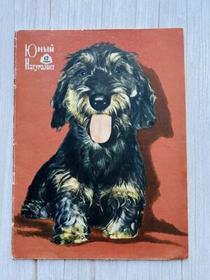 Юный Натуралист 12/1966
