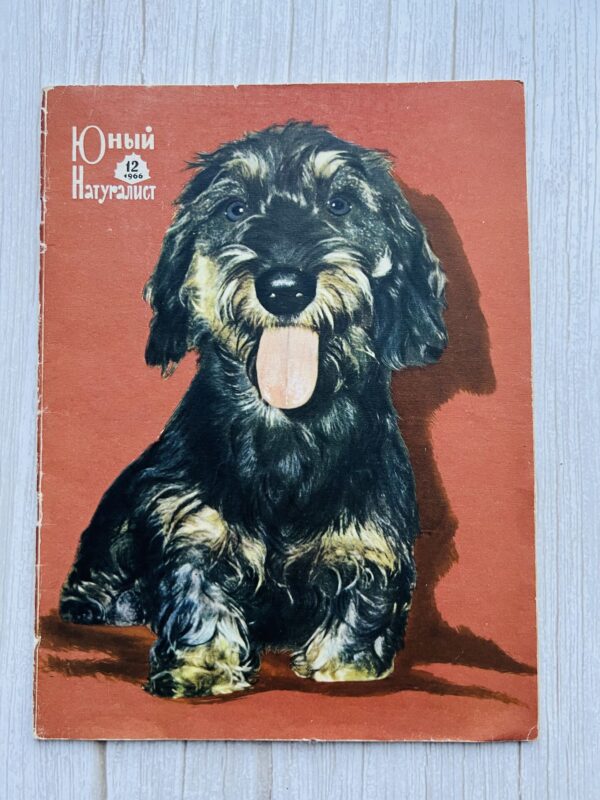 Юный Натуралист 12/1966