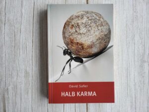 Halb karma . David Safier