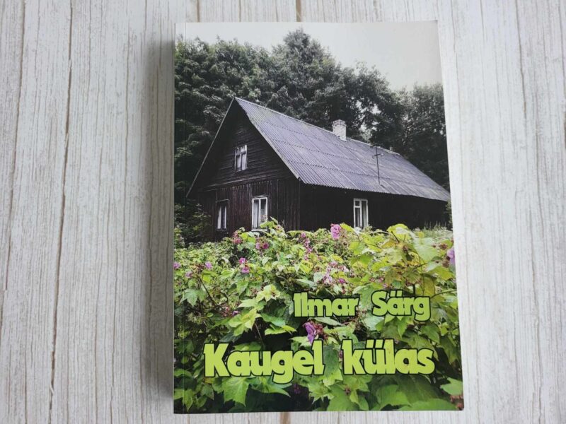 110129859 Kaugel külas . Ilmar Särg