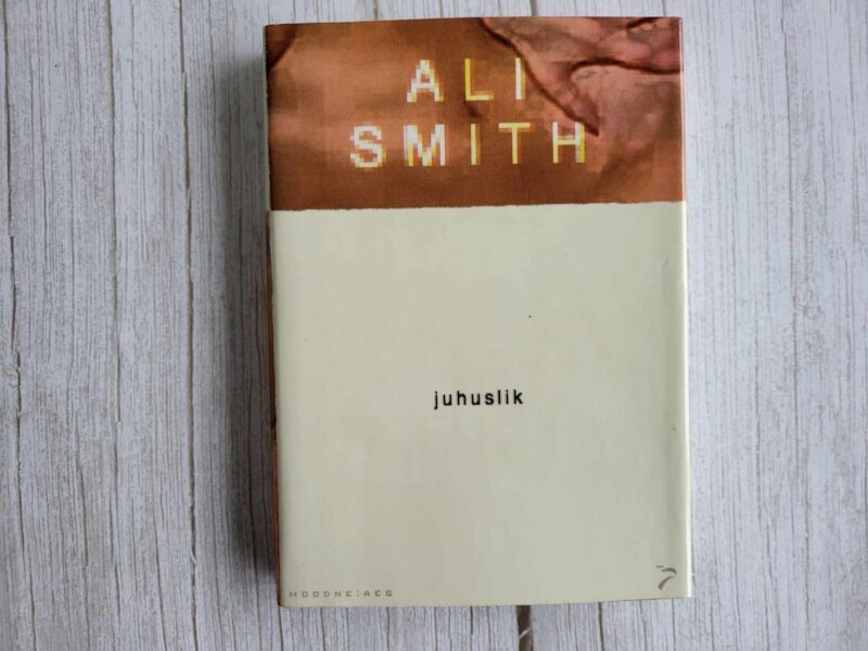 110130419 Juhuslik . Ali Smith