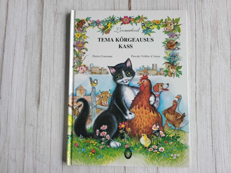 110260083 Tema kõrgeausus kass
