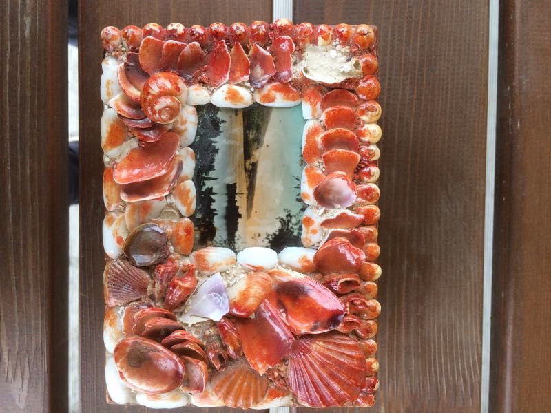 41210282 Merekarpidest Karp