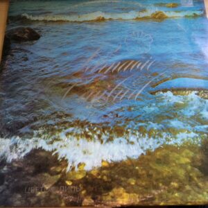 42928186 Pärnaõie Laulud Pärnaõis Vinüül