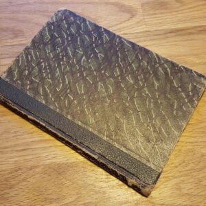 Kännud ja käbid . Eduard Wilde . 1911