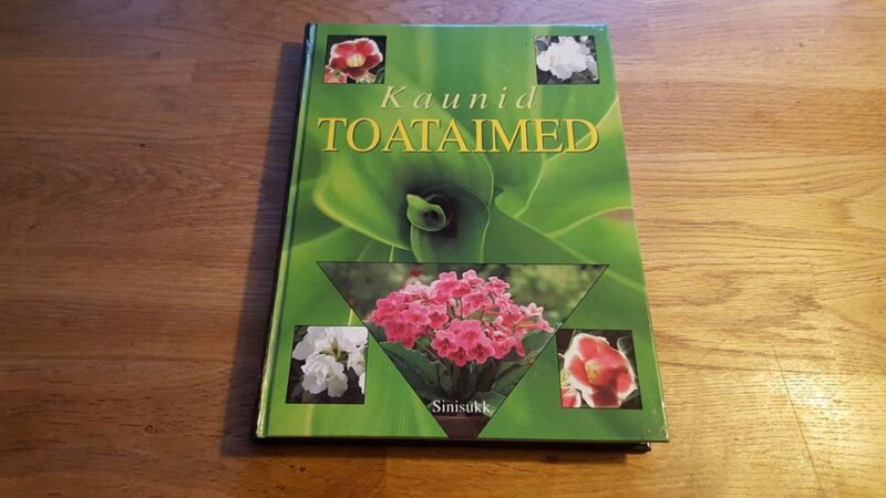45570978 Kaunid toataimed
