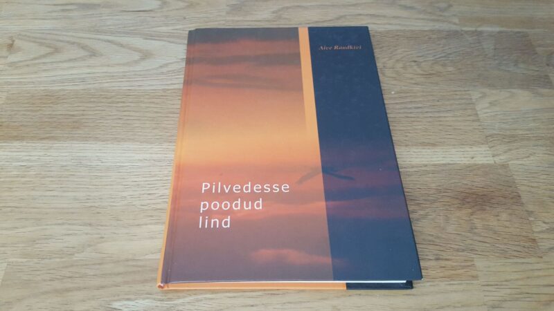 Pilvedesse poodud lind . Aive Raudkivi