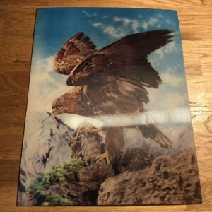 Jaapanis Valmistatud 3D Pilt Kotkas