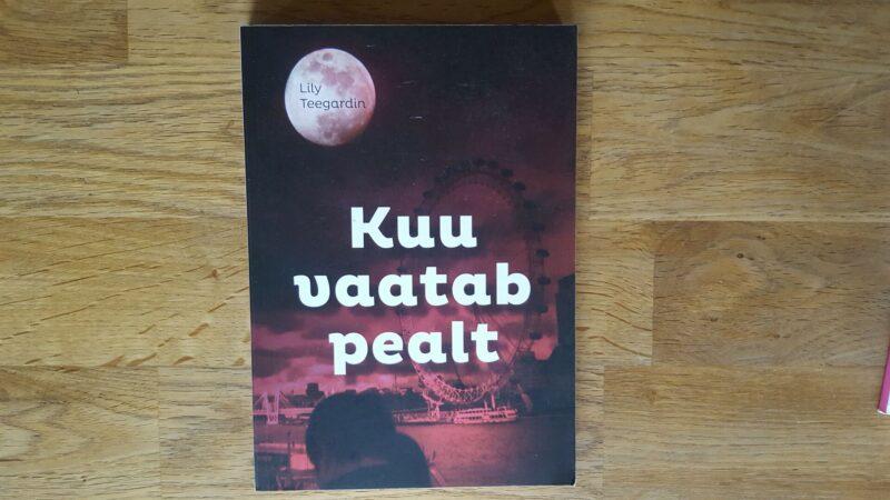 47734999 Kuu vaatab pealt . Lily Teegardin