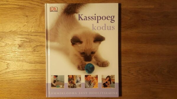 Kassipoeg kodus . Lemmiklooma eest hoolitsemine