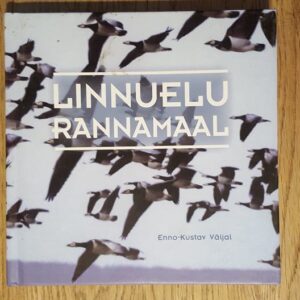 59596226 Linnuelu rannamaal . Enno-Kustav Väljal